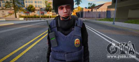 Uniformed police officer and helmeted police officer