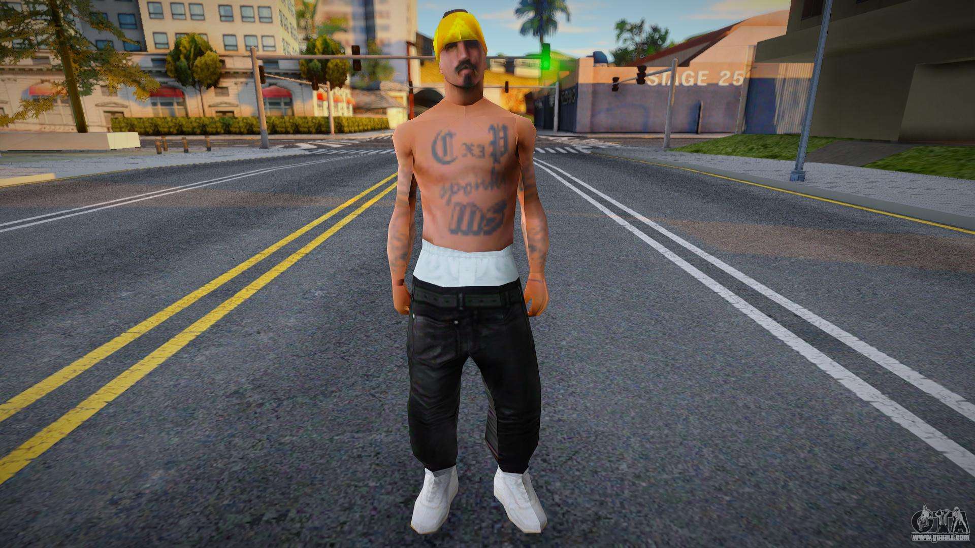 Download New Los Santos Vagos for GTA San Andreas