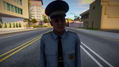 Lieutenant of the Ministry of Internal Affairs for GTA San Andreas