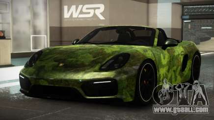 Porsche Boxster XR S4 for GTA 4