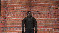 Lion Player for GTA Vice City