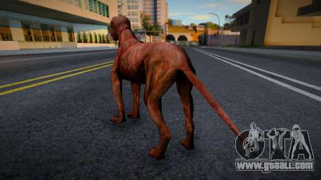 Dog from S.T.A.L.K.E.R. v5 for GTA San Andreas