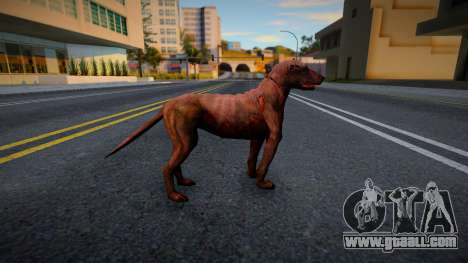 Dog from S.T.A.L.K.E.R. v5 for GTA San Andreas