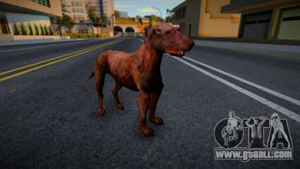 Dog from S.T.A.L.K.E.R. v5 for GTA San Andreas