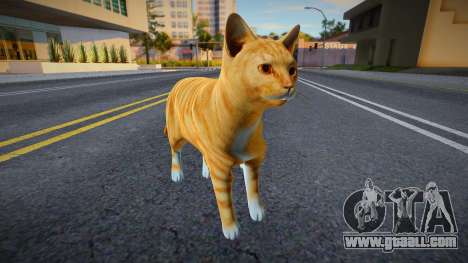 Red Cat for GTA San Andreas