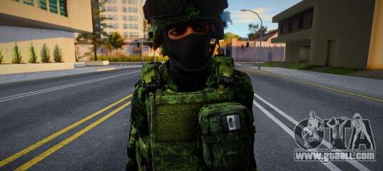 Mexican Army (Green Version) for GTA San Andreas